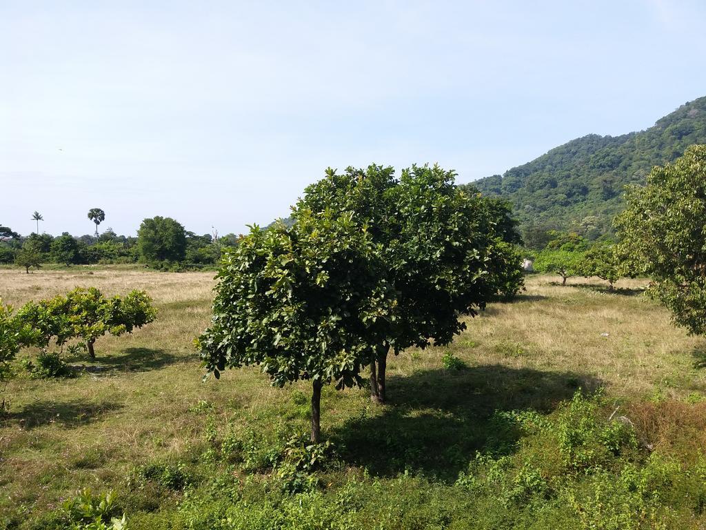 Khmer House Bungalow 호텔 까엡 외부 사진